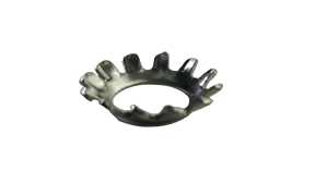 External Tooth Countersunk Lock Washer, 18/8 Stainless Steel