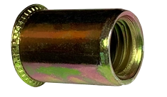 Small Head Rivet Nut, Steel, Zinc Yellow Dichromate
