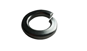 3/4" Split Lock Washers | Medium | 316 Stainless Steel (100 / Pkg.)