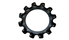 1/2" External Tooth Lock Washers | Steel Black Oxide (4000 / Pkg.)