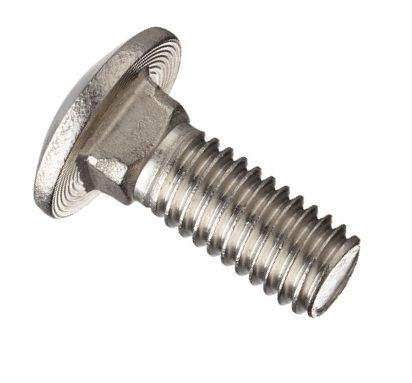 18/8 Stainless Steel Carriage Bolt 1/4-20X2
