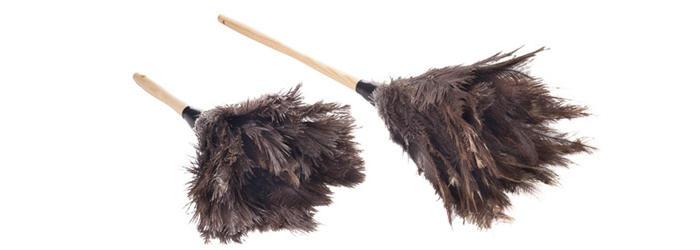 Magnolia Brush 12 Ostrich Feather Counter Duster